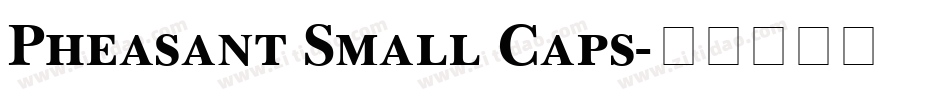 Pheasant Small Caps字体转换